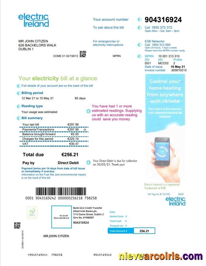 Ireland Electric Ireland utility bill